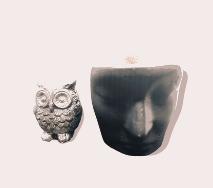 Savage Bliss: Black Wooden Wick Luxury Concrete Scented Candle with Owl Accent - Reusable Multi-Purpose Container